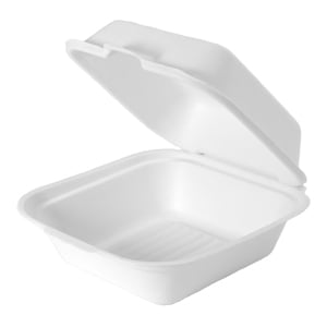 foam containers